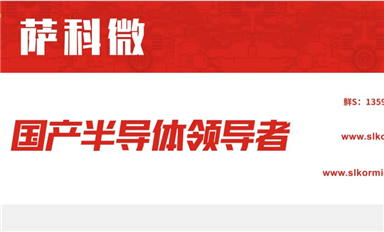薩科微slkor銷量前十五產(chǎn)品占銷售額的多少？