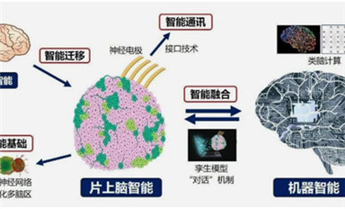 全球首創(chuàng)！中國研制出可開源的片上腦-機(jī)接口智能交互系統(tǒng)MetaBOC（薩科微7月1日芯聞）