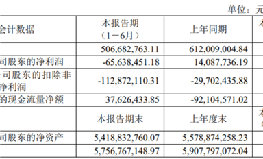 思瑞浦/南芯/帝奧微悲喜不相通，模擬電源的春天要等到2026年？