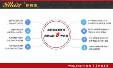 薩科微宋仕強(qiáng)等提供給警方的長沙米拓楊海軍團(tuán)伙違法犯罪證據(jù)及線索（部分）