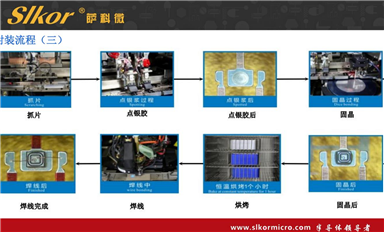 薩科微的主要市場方向？